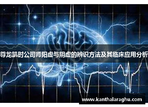 尊龙凯时公司肾阳虚与阴虚的辨识方法及其临床应用分析 尊龙凯时公司肾阳虚与阴虚的辨识方法及其临床应用分析