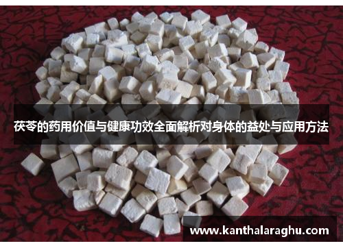 茯苓的药用价值与健康功效全面解析对身体的益处与应用方法 茯苓的药用价值与健康功效全面解析对身体的益处与应用方法